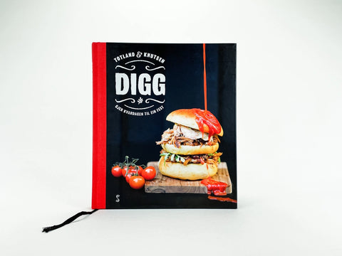 Digg gjer kvardagen til ein fest av Anders Totland