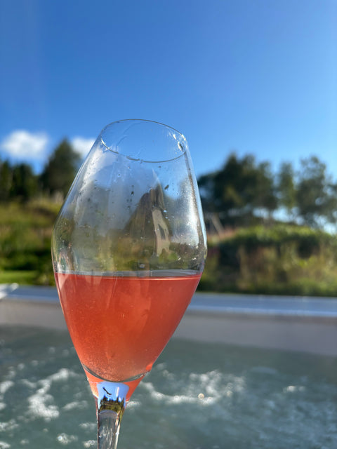 Vesterålen vinfestival- smaksopplevelse på Norges nordligste vingård